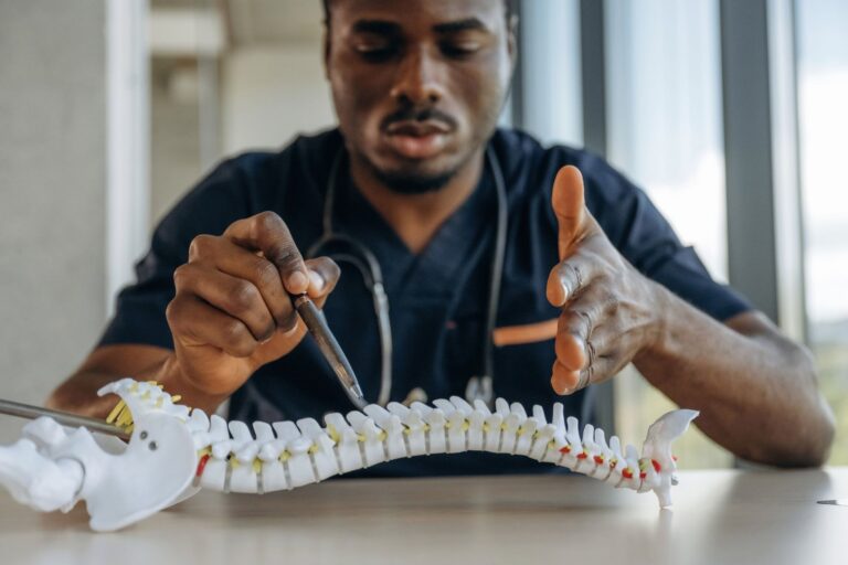 educational-stuff-model-of-human